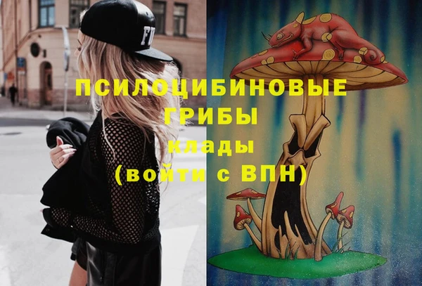 стаф Баксан
