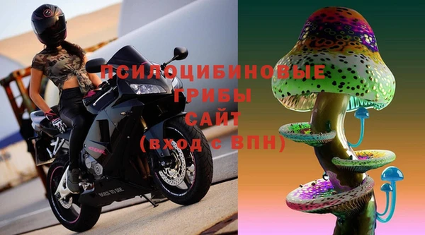 бошки Беломорск