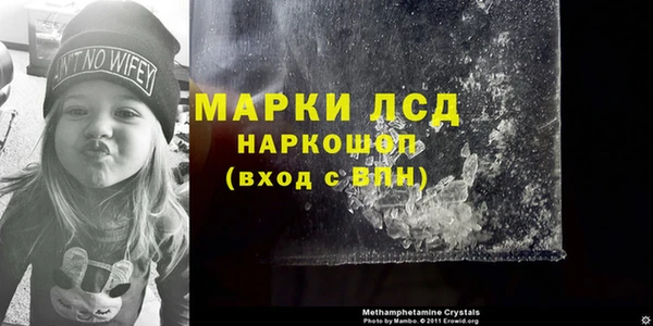 спайс Покачи